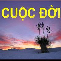 Cap chất về đời, stt chất về đời đáng suy ngẫm