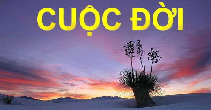 Câu nói về cuộc đời đáng suy nghĩ